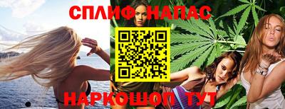 spice Кунгур