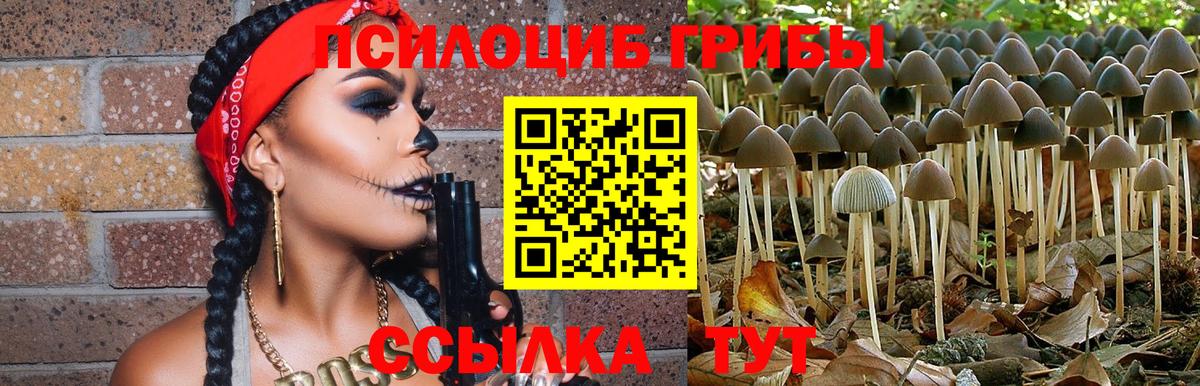 Галлюциногенные грибы Magic Shrooms Елец