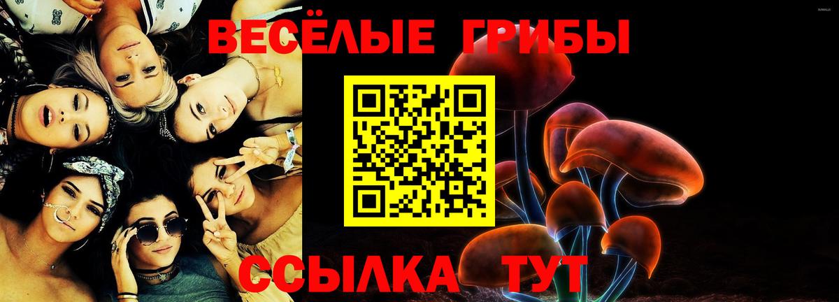 Псилоцибиновые грибы ЛСД  Вход с VPN  Елец 